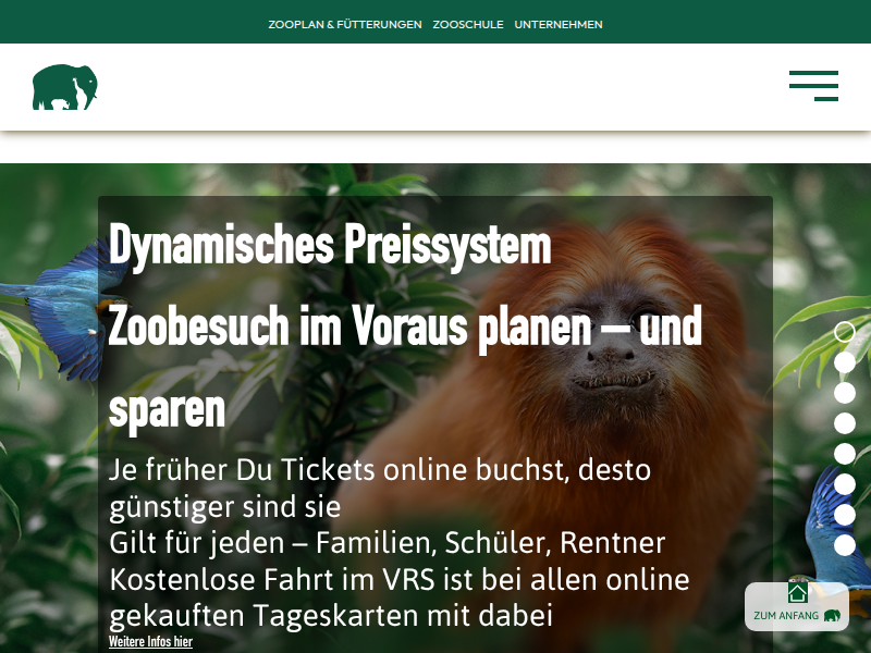 Kölner Zoo - Brillenbär
