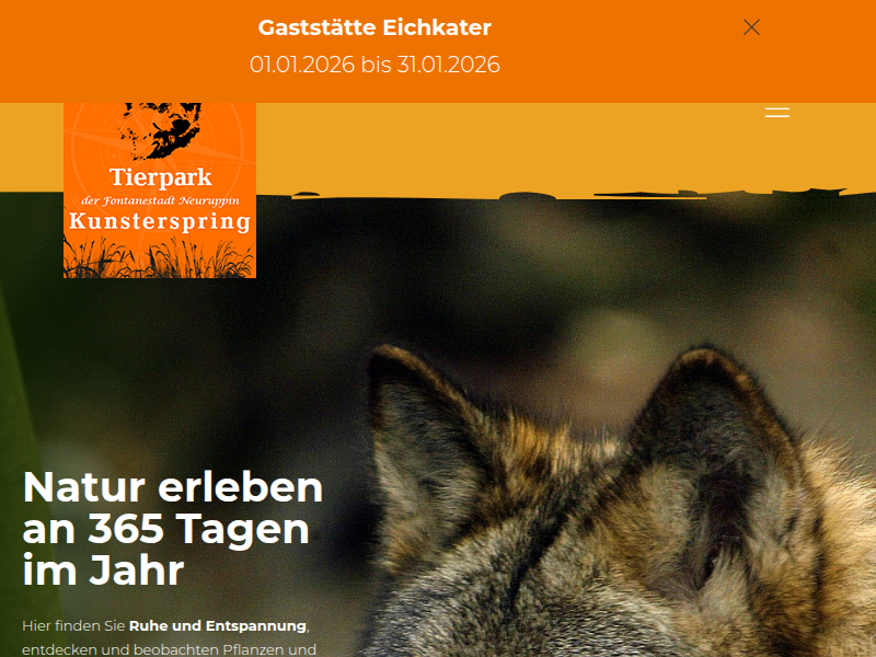 Tier des Monats November´2025 - Ouessantschaf MARLOW - tierpark-kunsterspring.com