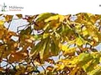 Wir sind wieder Berliner Klima Schule!