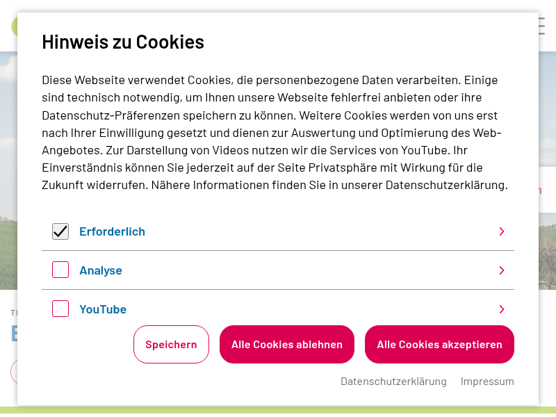 Publikationen | oeko.de