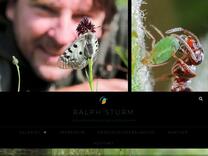 Galerie Schnecken und Weichtiere – Ralph Sturm