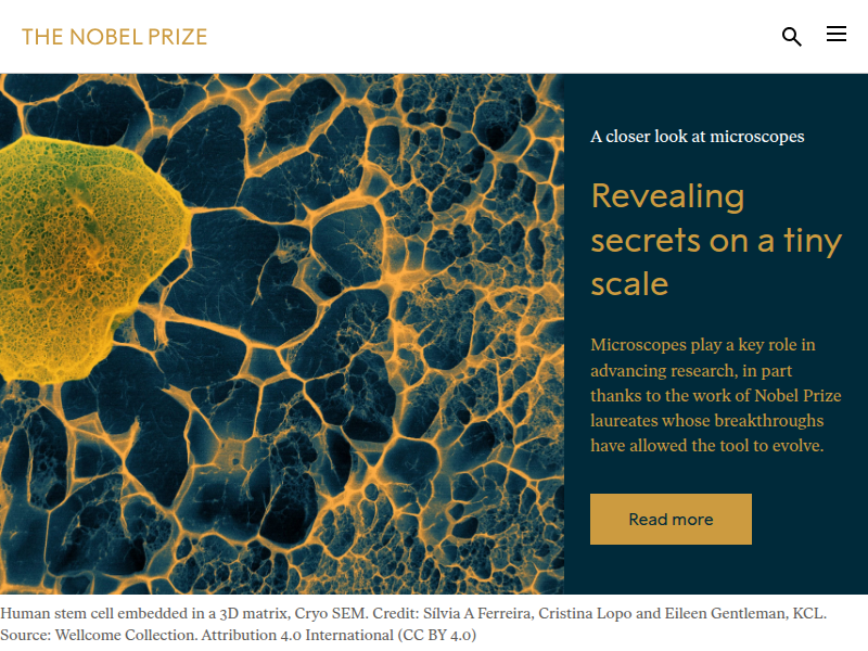 Pressmitteilung: Der Nobelpreis in Chemie 1995 - NobelPrize.org