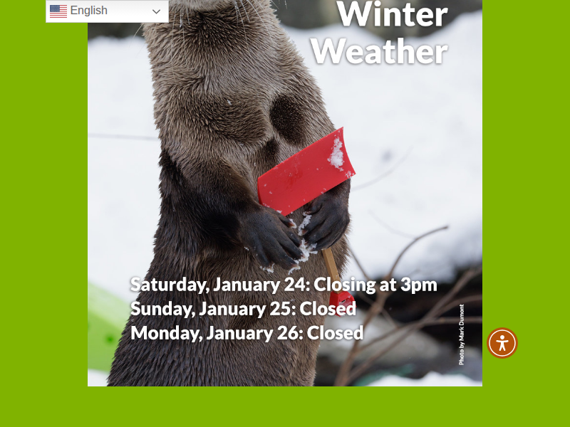 100 Trees Planted in Earth’s Underground Internet - Cincinnati Zoo & Botanical Garden