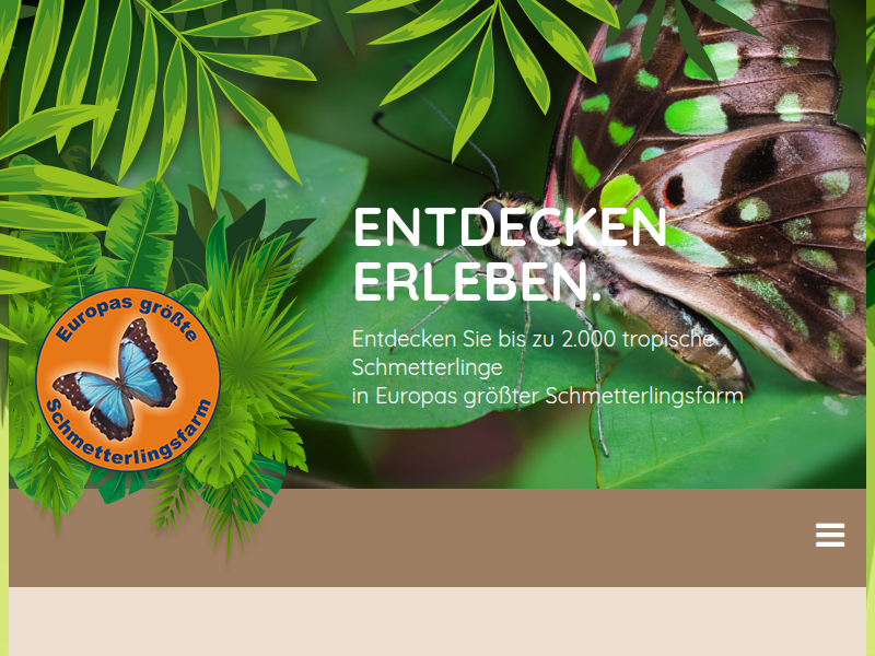 Die Riesenameise der Schmetterlingsfarm Trassenheide