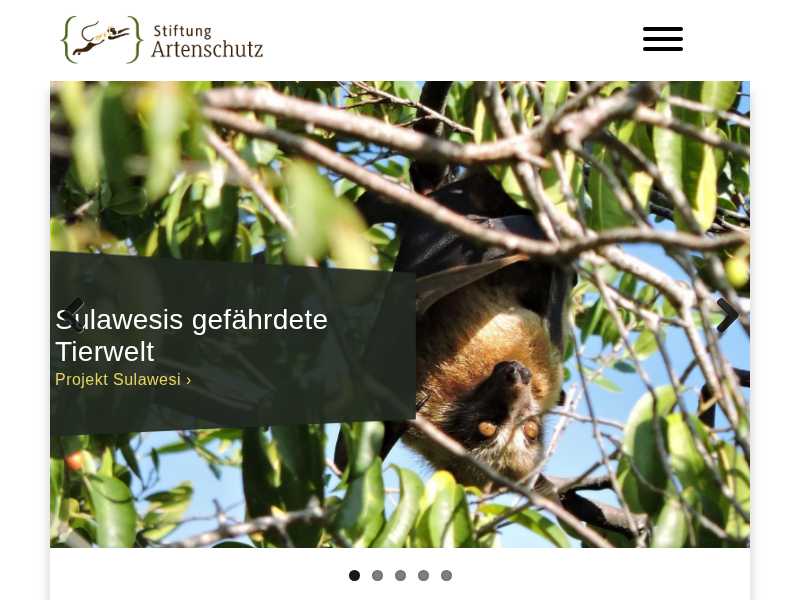 Projektarchiv » Stiftung Artenschutz