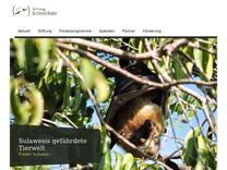 Waldrapp » Stiftung Artenschutz