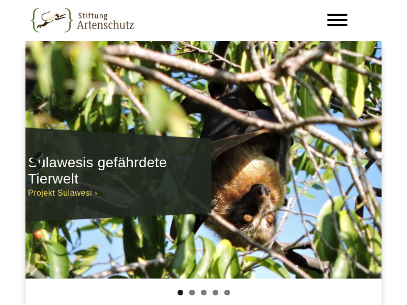 Projektarchiv » Stiftung Artenschutz