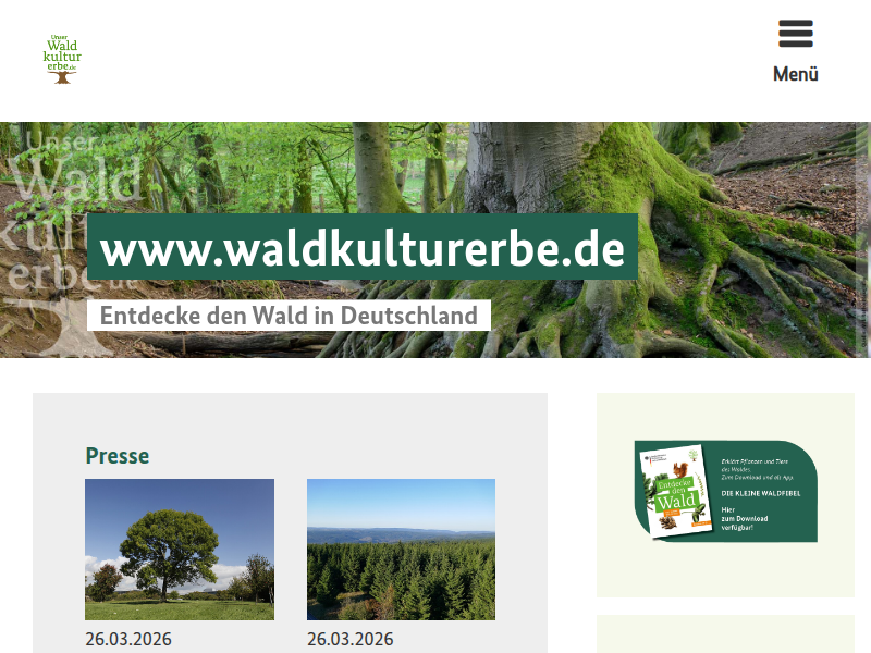 „Jugendrat Wald“: Dauerhaftes Dialogformat für junge Waldinteressierte entsteht