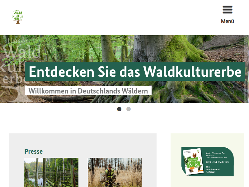 Unser Waldkulturerbe: Internationaler Tag des Waldes 2025