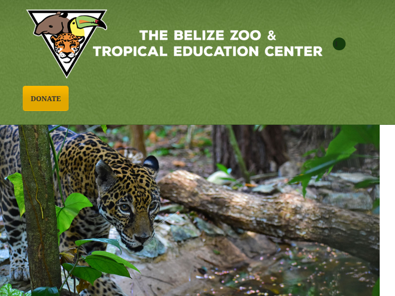 Externship Opportunities – The Belize Zoo