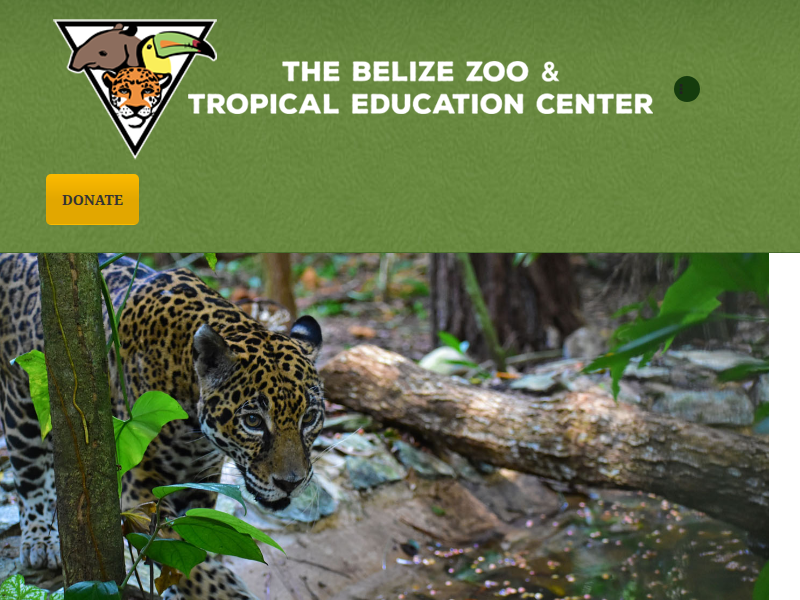 In Honour of Greatness – The Belize Zoo
