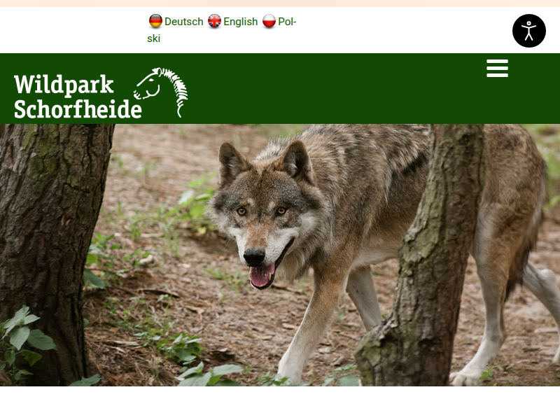 Wolfsinformationszentrum Brandenburg