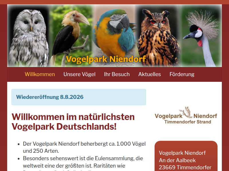 Vogelpark Niendorf | Indische Zwergohreule