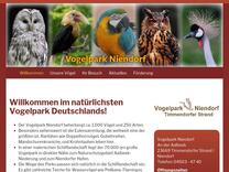 Vogelpark Niendorf | Indische Zwergohreule