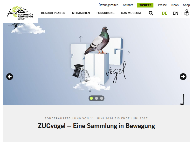 Insekten-Modelle | Museum für Naturkunde