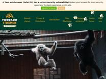 Erdmännchen Meet & Greet | Tierpark Ströhen - Der Enteckerzoo