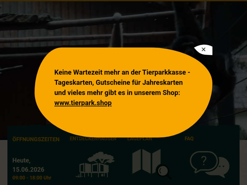 Erdmännchen Meet & Greet | Tierpark Ströhen - Der Enteckerzoo
