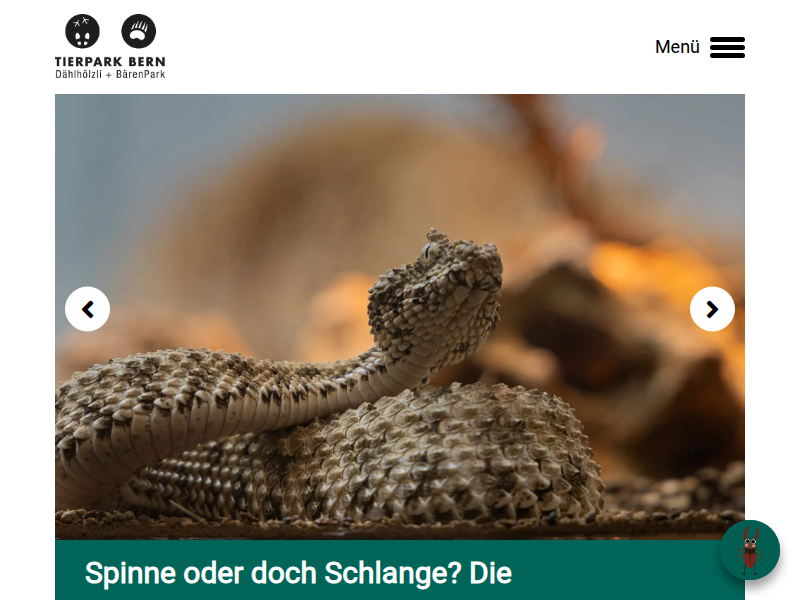 Von Schlangen, Eidechsen und Schildkröten | Tierpark Bern
