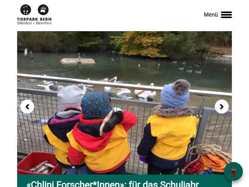 Die Schweizer Schildkröte kehrt zurück | Tierpark Bern