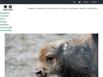 Echte Schmuckschildkröte | Tierpark Bern