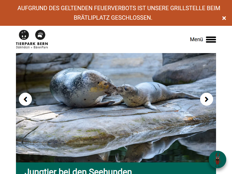 Küstenseeschwalbe | Tierpark Bern