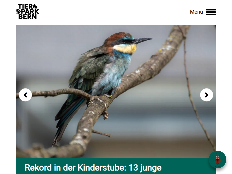 Waldtiere | Tierpark Bern