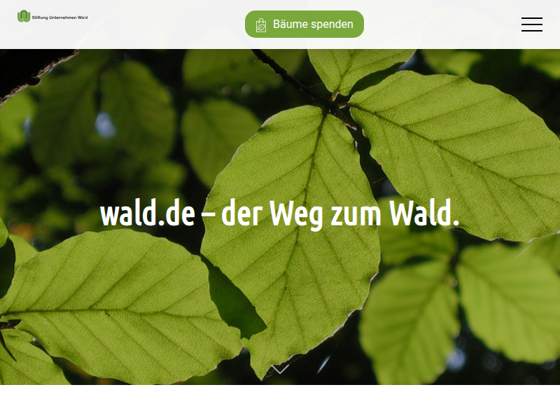 Funktionen des Waldes - Waldfunktionen - Ökosystemleistung Wald