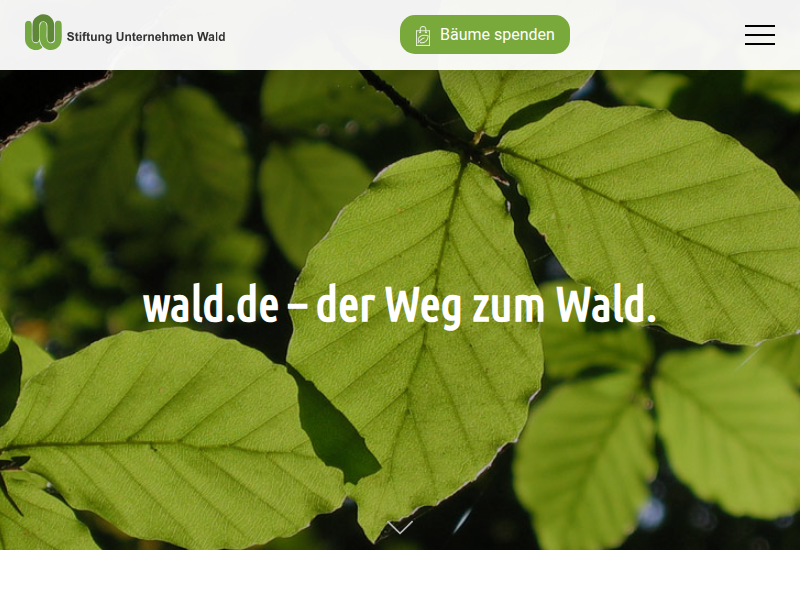 Testament für den Wald - Vermächtnis für wohltätigen Zweck