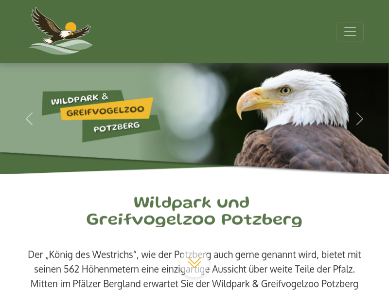 Große Greifvogelflugschau