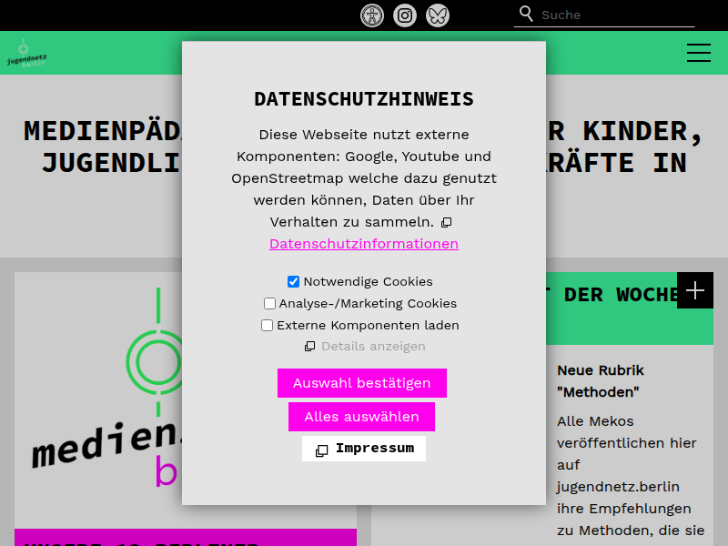 Elaborated Report 2024 jugendnetz berlin