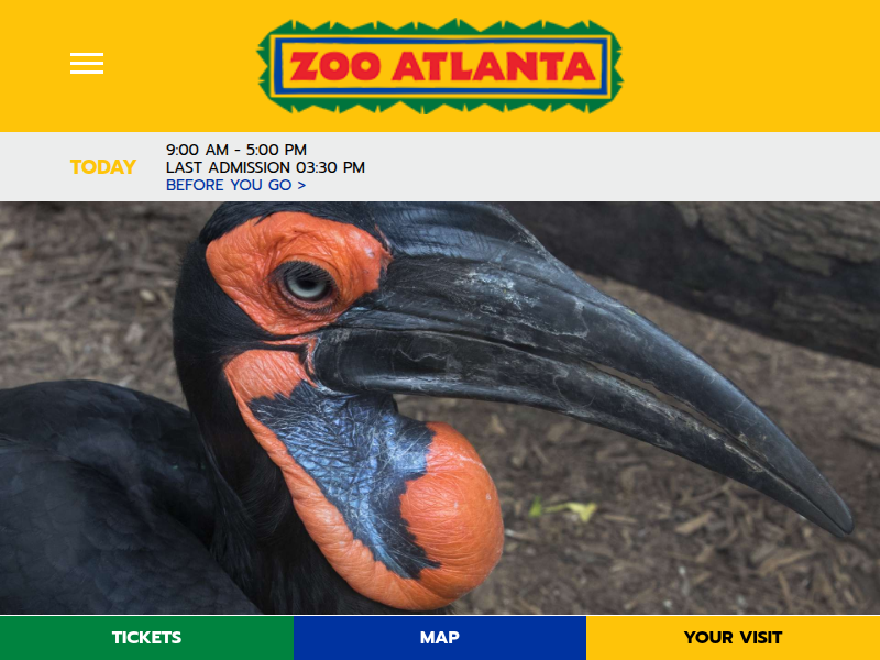 Panda Updates - Wednesday, June 17 - Zoo Atlanta