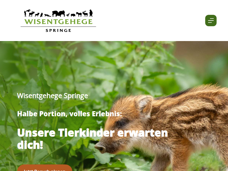 Eulen & Käuze - Wisentgehege Springe