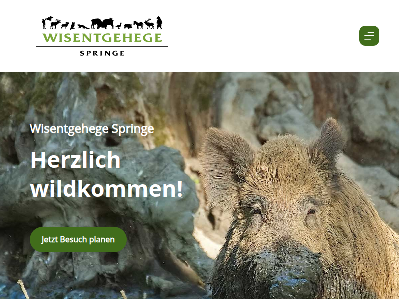 Eulen & Käuze - Wisentgehege Springe