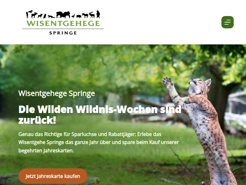 Wisente - Wisentgehege Springe