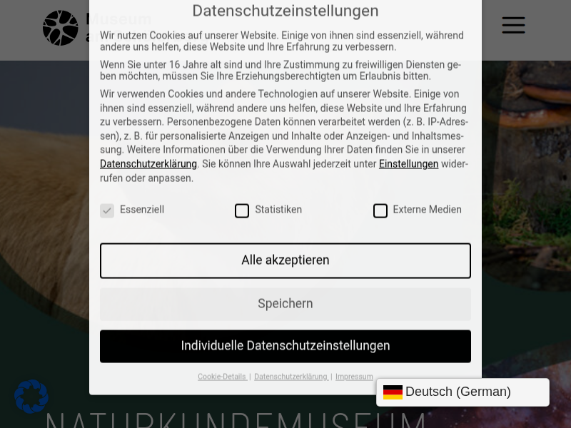 Museum am Schölerberg /// Aktuelles aus dem Museum
