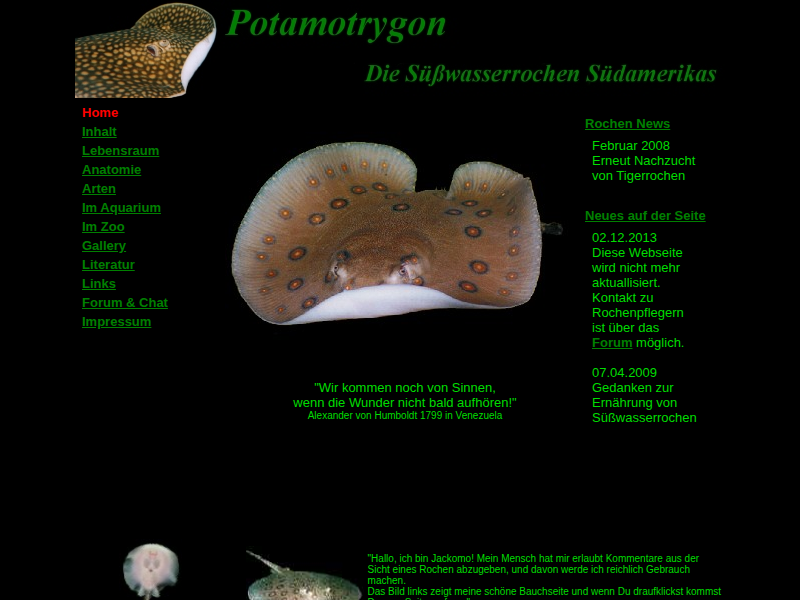Potamotrygon - Im Zoo