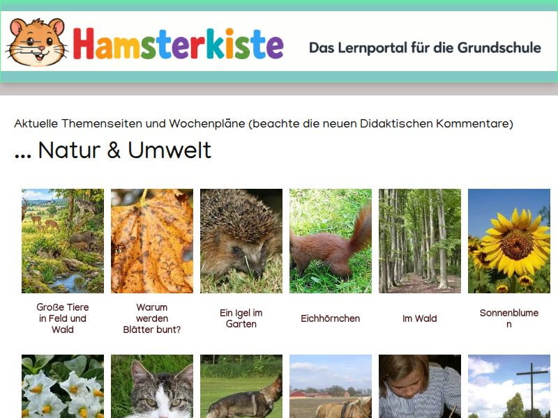 Kastanien - Eine Lerngeschichte der Hamsterkiste