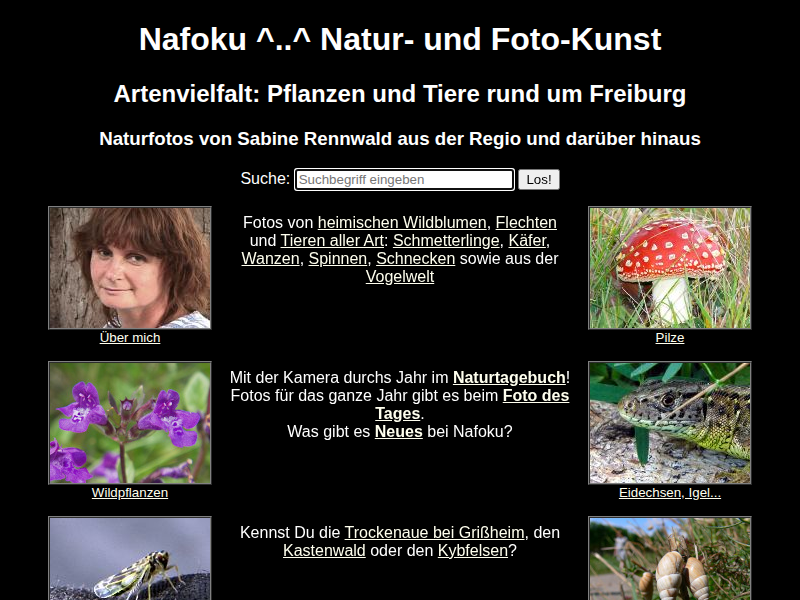 Winzige Käfer und andere Tiere am Elzdamm, Naturtagebuch von Nafoku am 20.06.2002