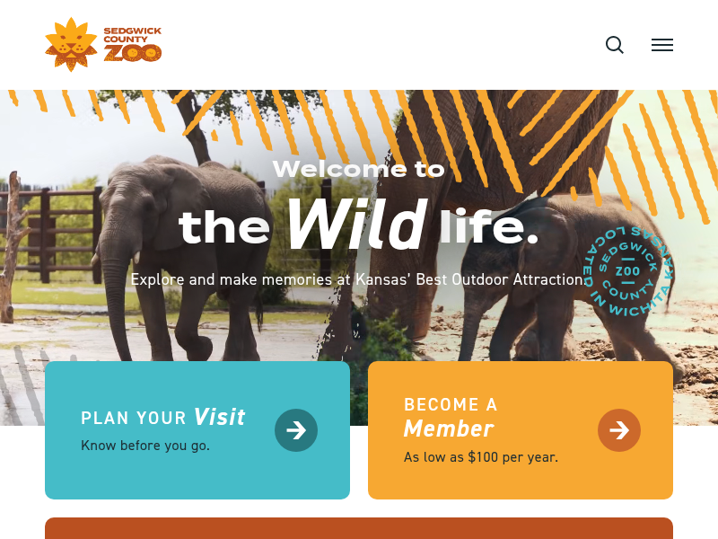 An Enchanting Evening: An Inside Look at Wild Lights 2024 – Sedgwick County Zoo