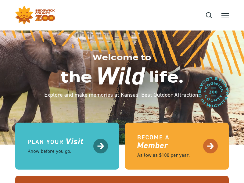 Bitesize Bonus: Brumation – Sedgwick County Zoo