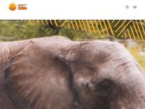 Arizona Ridge-Nose Rattlesnake – Sedgwick County Zoo