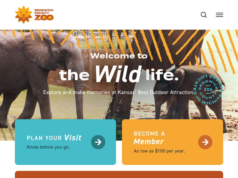 Pajama Party is evening fun for the whole family – Sedgwick County Zoo