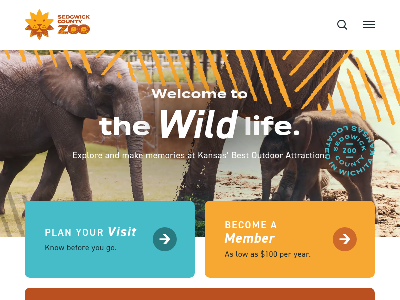 Bitesize Bonus: McCord’s Box Turtle – Sedgwick County Zoo