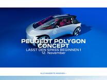 PEUGEOT – Datenschutzrechtliche Einwilligungserklärung