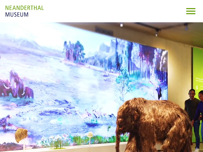 Online-Führung Vom Neanderthal ins Digital | Neanderthal Museum