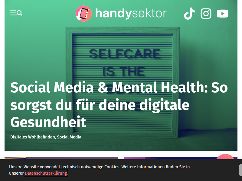 Fridays for Future auf einen Blick – Handysektor