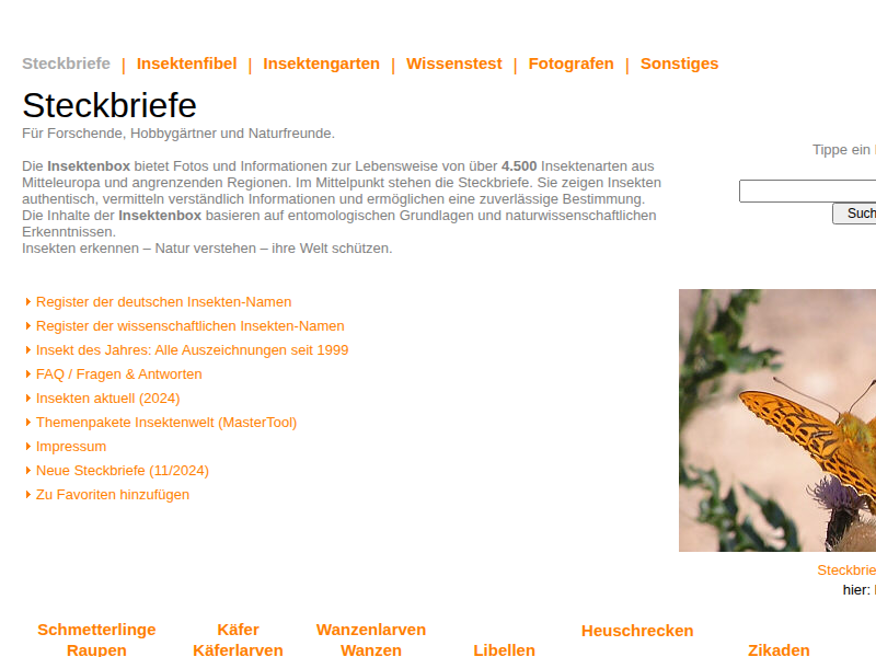 Insektenbox: Höhlenspanner 2