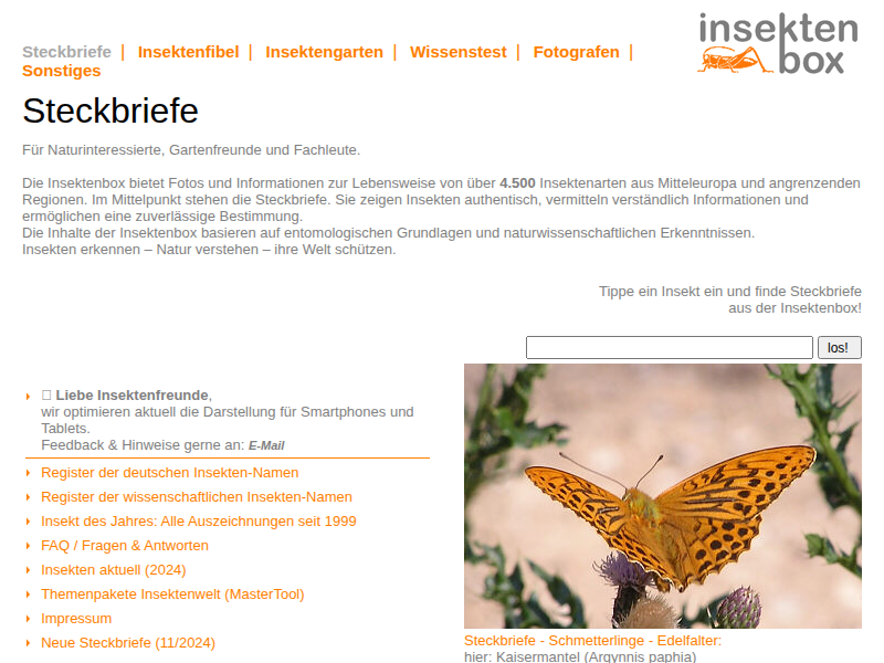 Insektenbox: Höhlenspanner 2