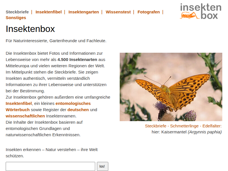 Insektenbox: Libellen