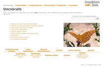 Insektenbox: Höhlenspanner 2